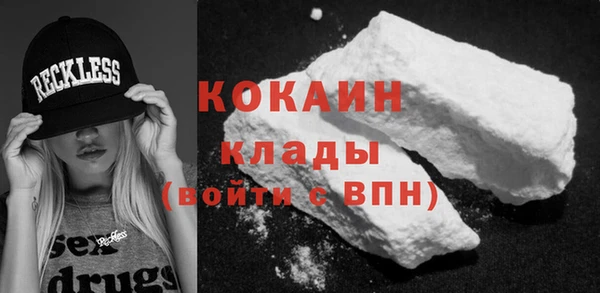 прущие грибы Аркадак