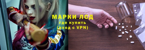 прущие грибы Аркадак