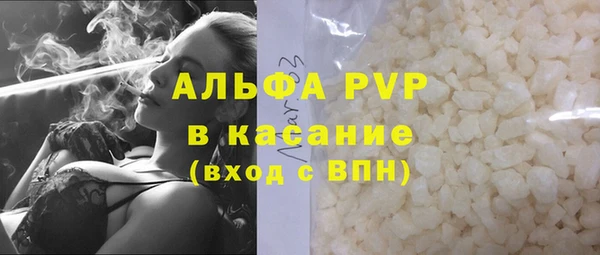 прущие грибы Аркадак