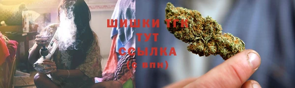 прущие грибы Аркадак