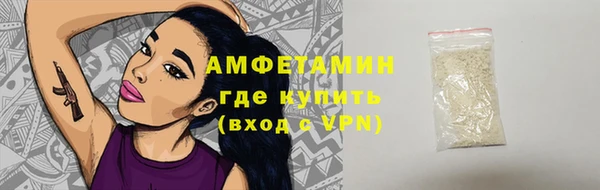 прущие грибы Аркадак