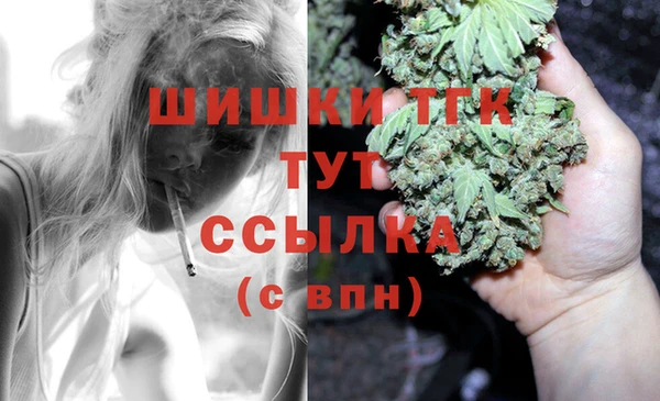 прущие грибы Аркадак