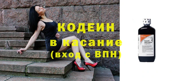 прущие грибы Аркадак
