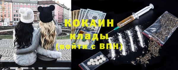 прущие грибы Аркадак
