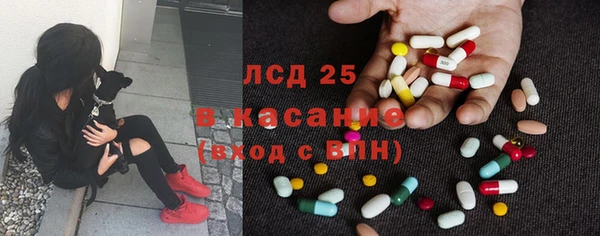 прущие грибы Армянск