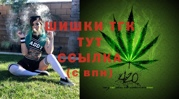 прущие грибы Армянск