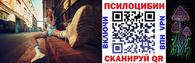Галлюциногенные грибы Cubensis  Заозёрск 
